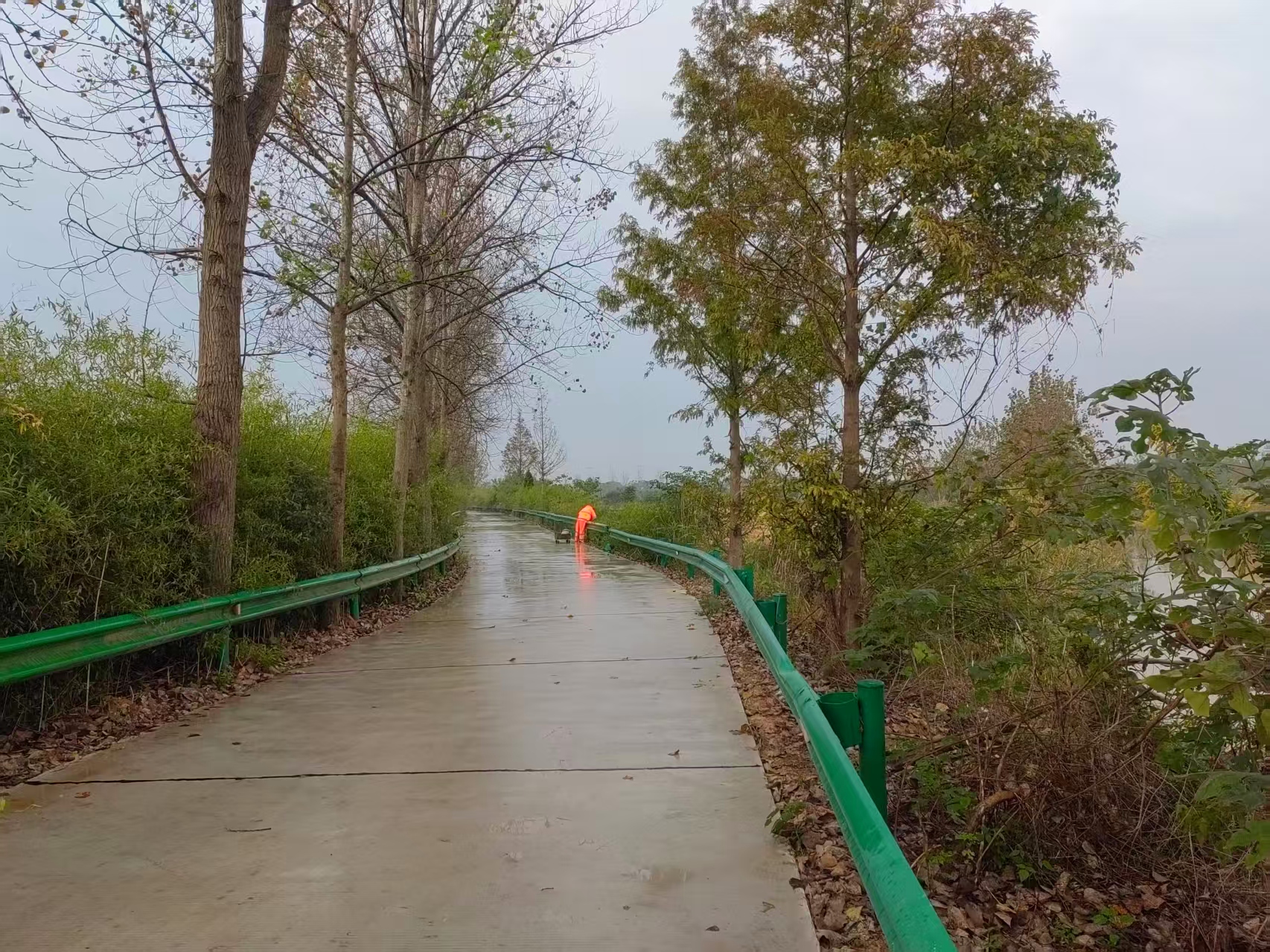 波行护栏安装工程